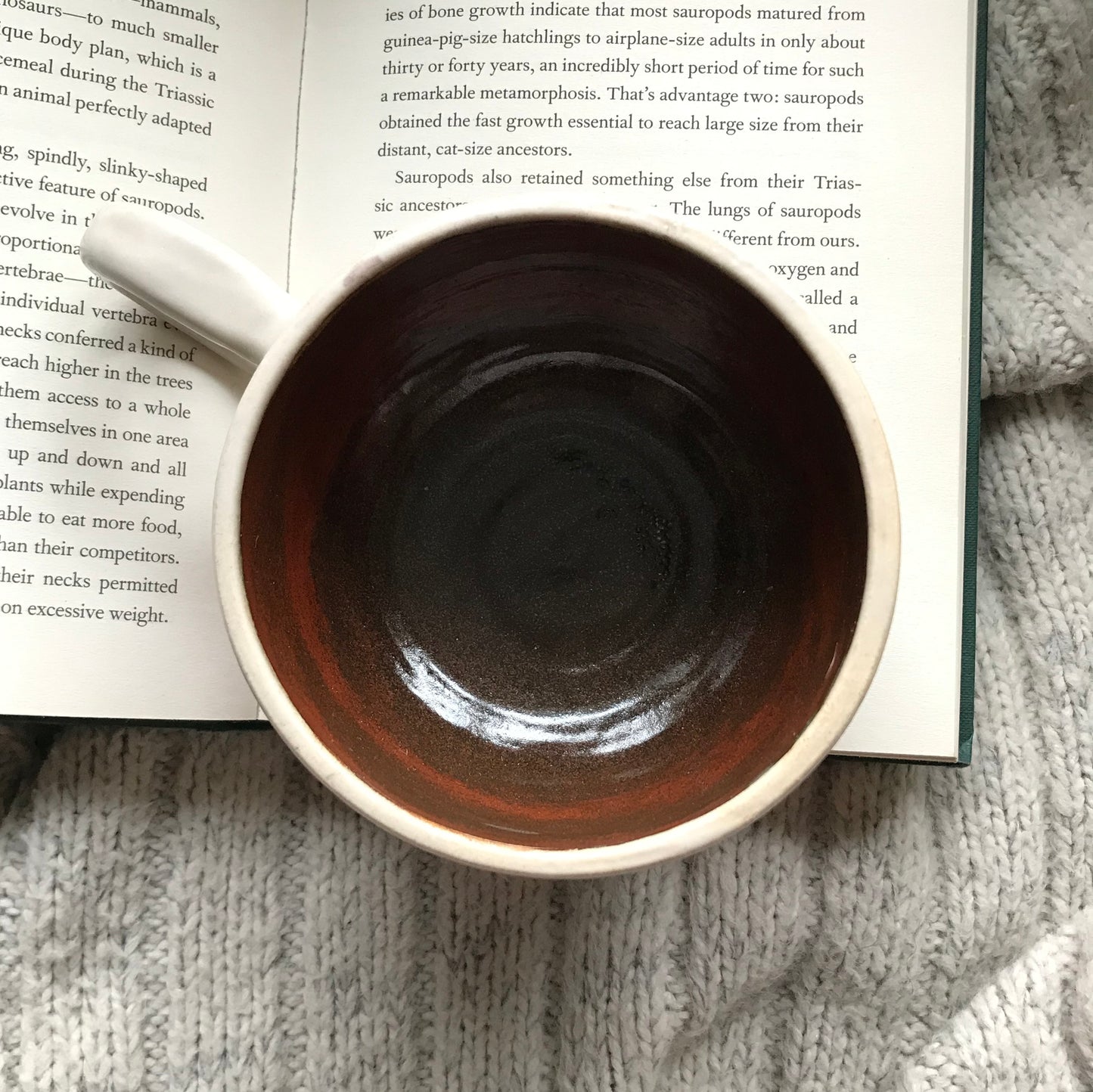 Pumpkins and Gourds Mug