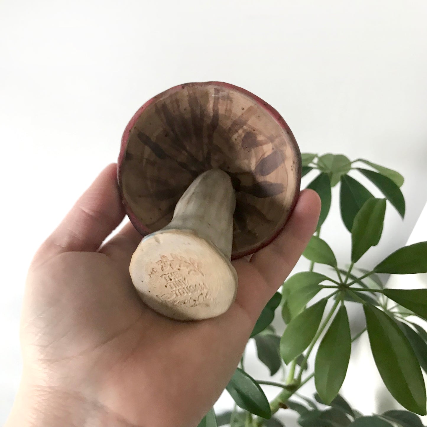 Mushroom bell