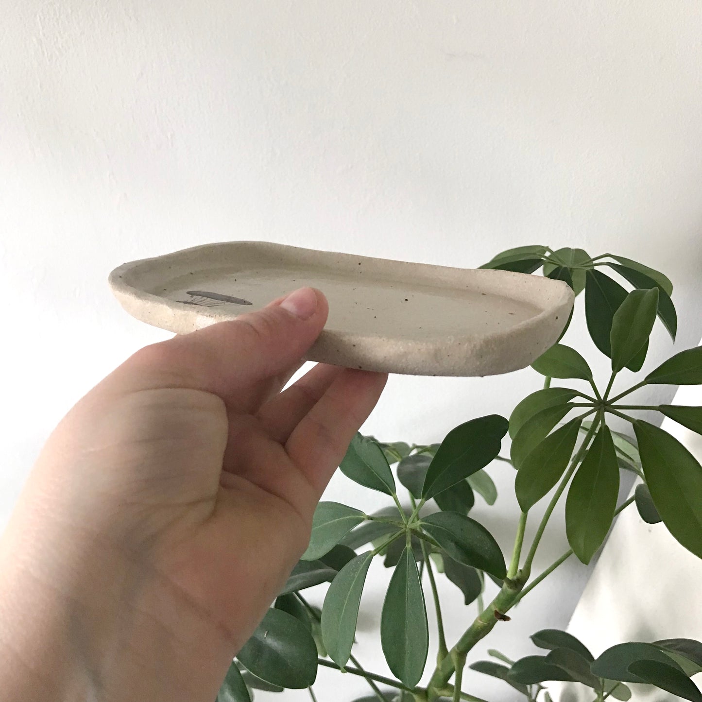 Mushroom Trinket Tray
