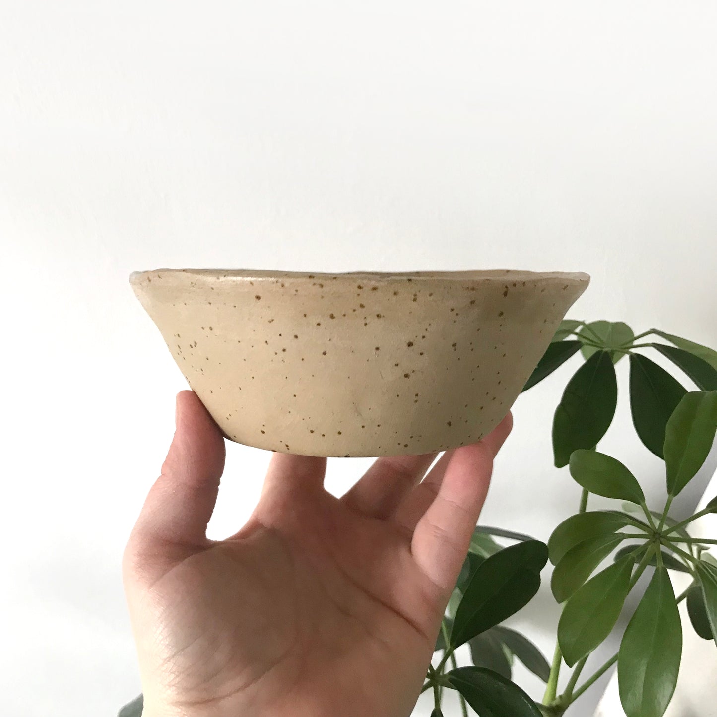 Sleepy Tiger Bowl (medium)