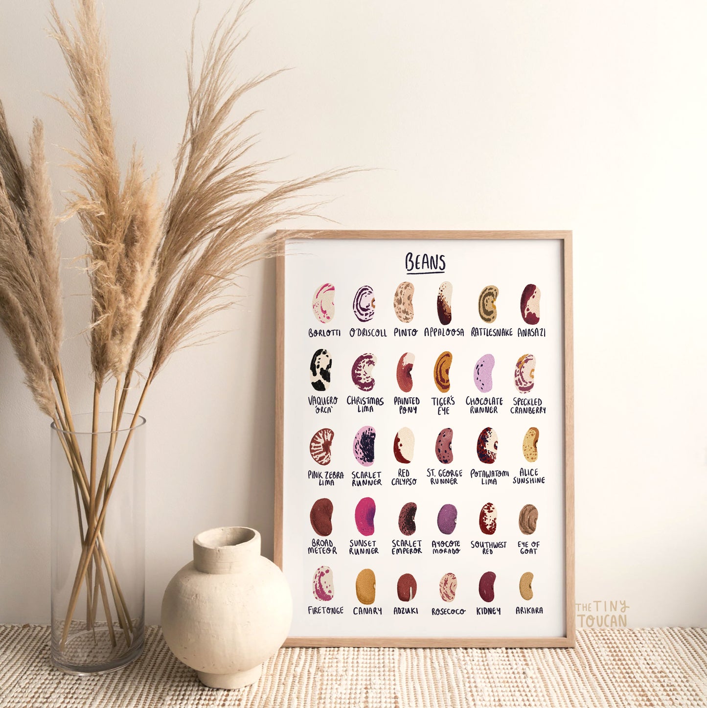 Bean Seed Fine Art Print