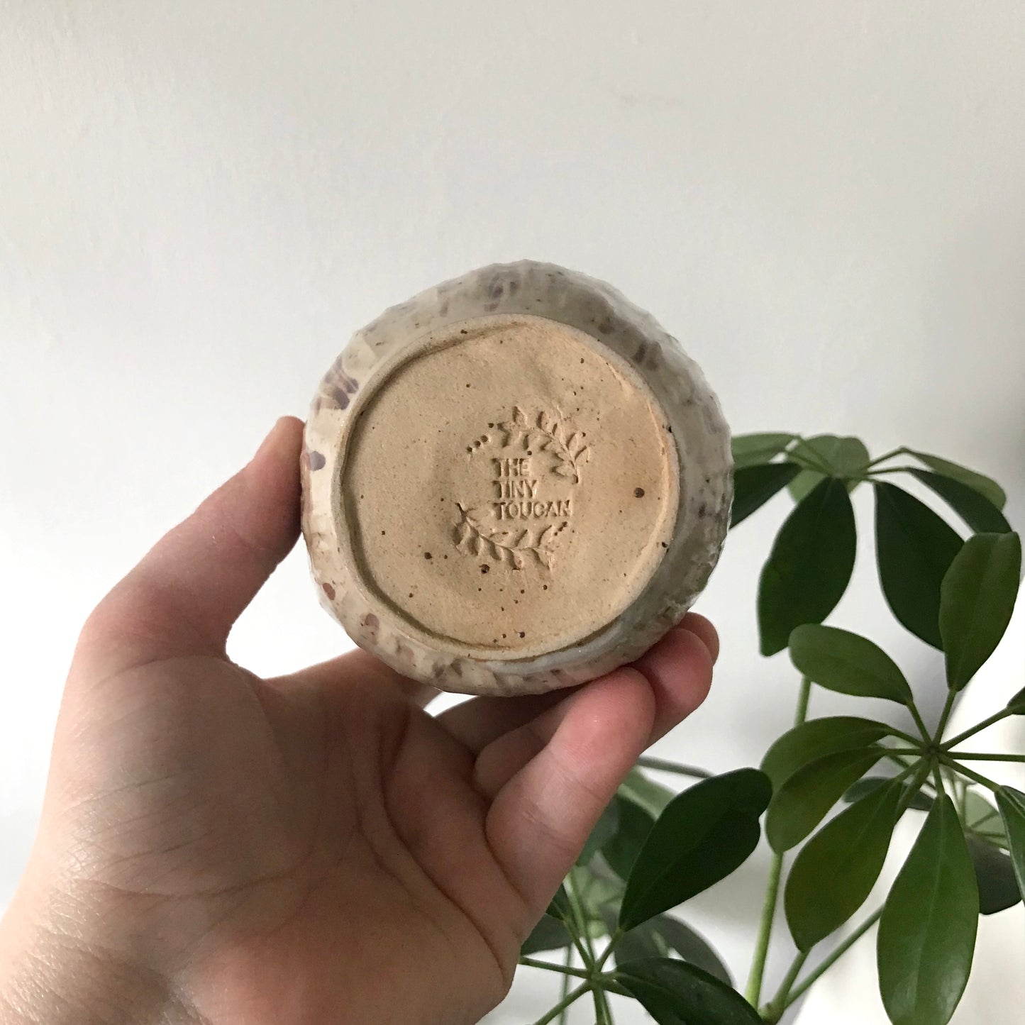 Mushroom Jar with lid