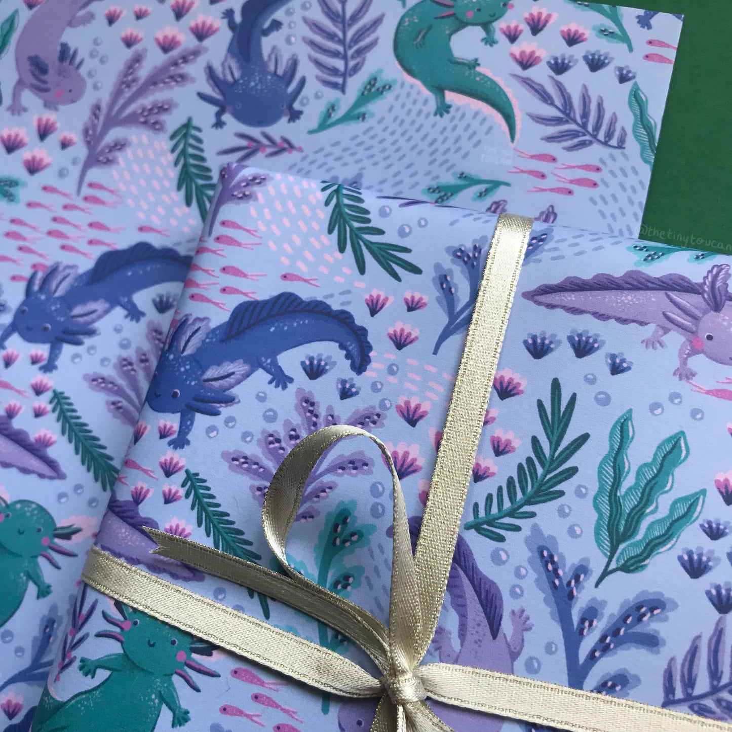 Axolotl Gift Wrap