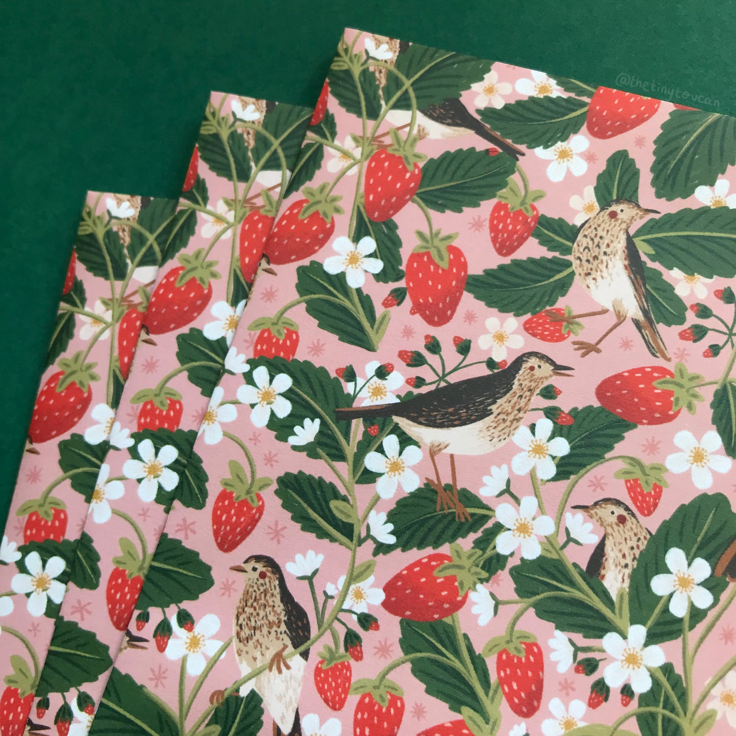 Strawberry Birds Gift Wrap
