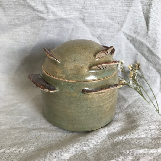 Mushies lidded trinket jar in Lichen Green
