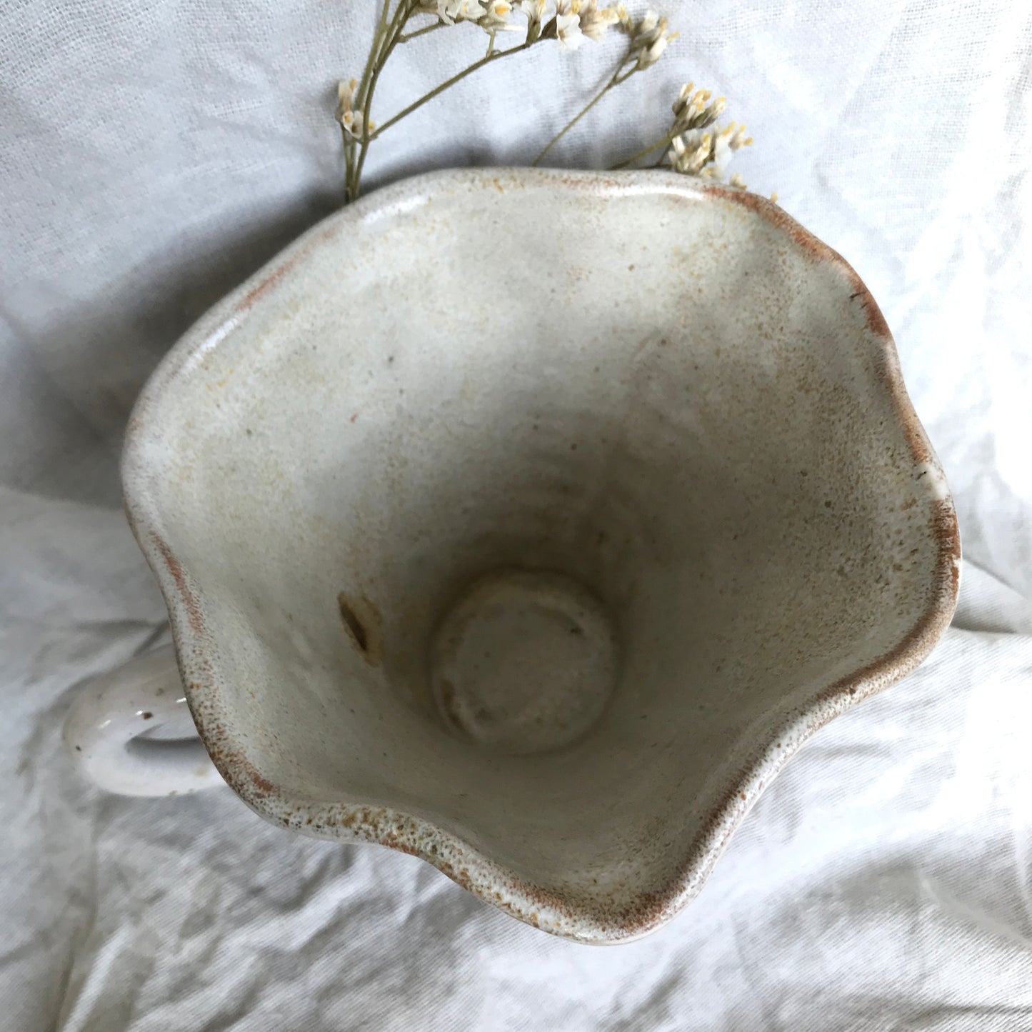 Russula Mushroom Mug