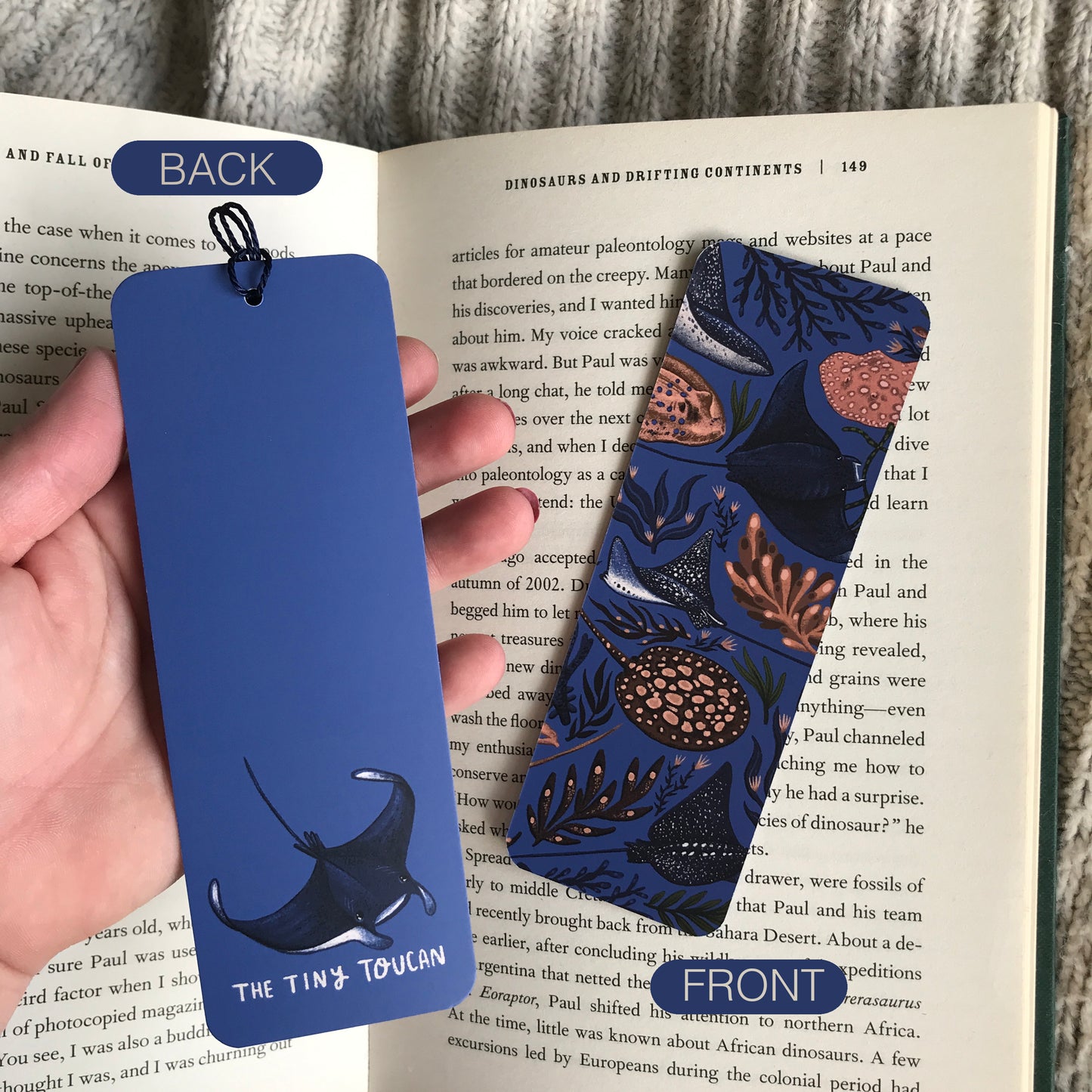 Rays Bookmark