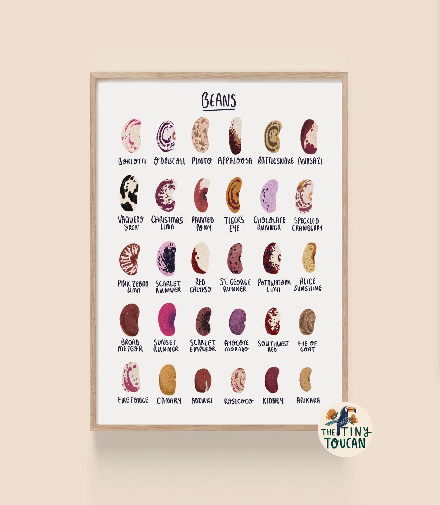 Bean Seed Fine Art Print