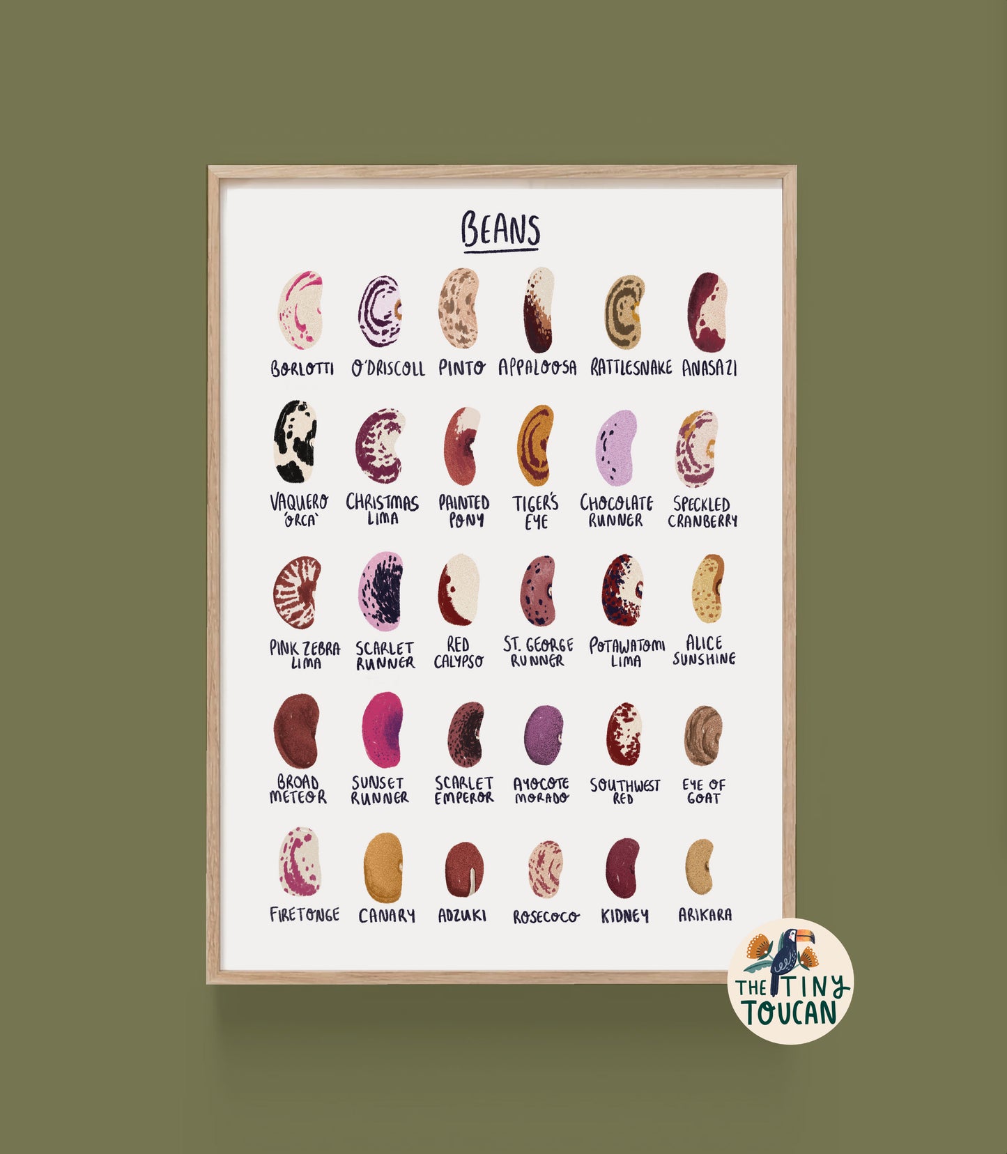 Bean Seed Fine Art Print