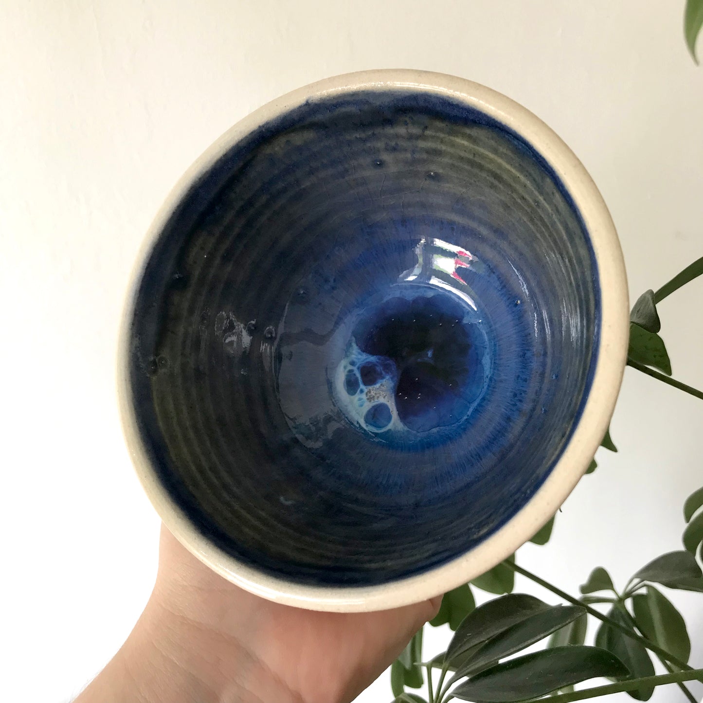 Chameleon Ramen Bowl