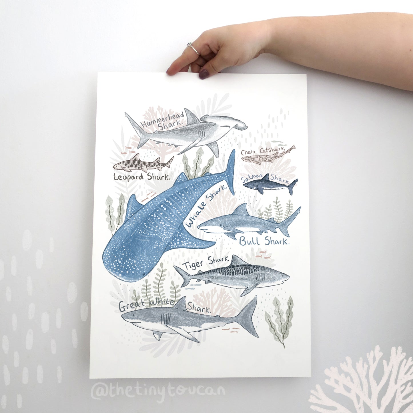 Sharks Fine Art Print