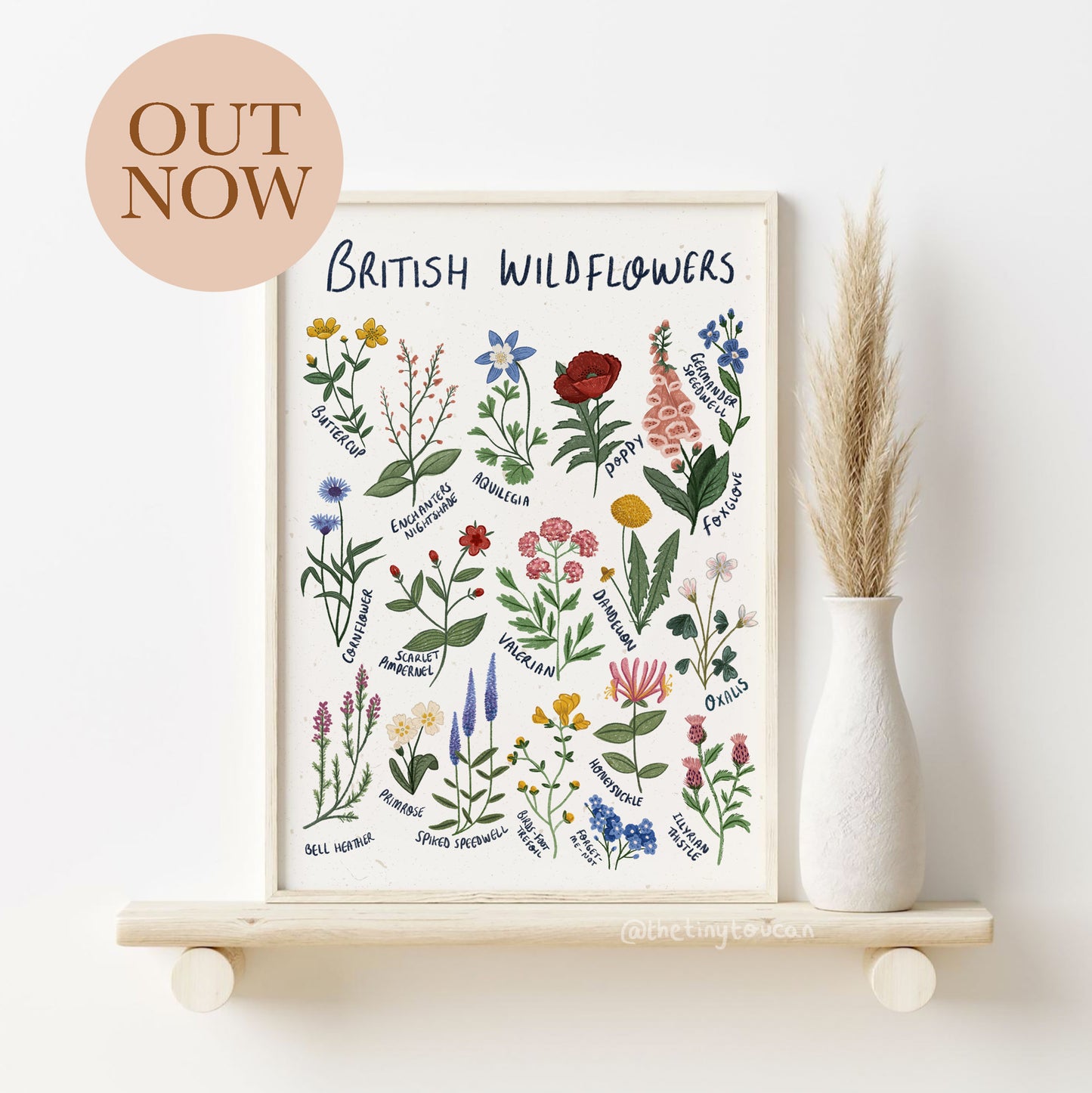 British Wild Flowers Fine Art Print