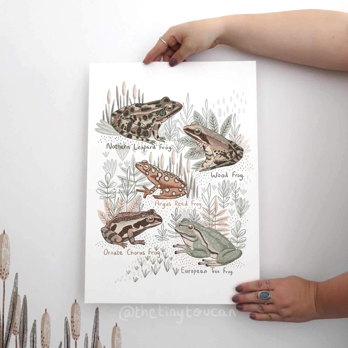 Little Frogs Fine Art Print