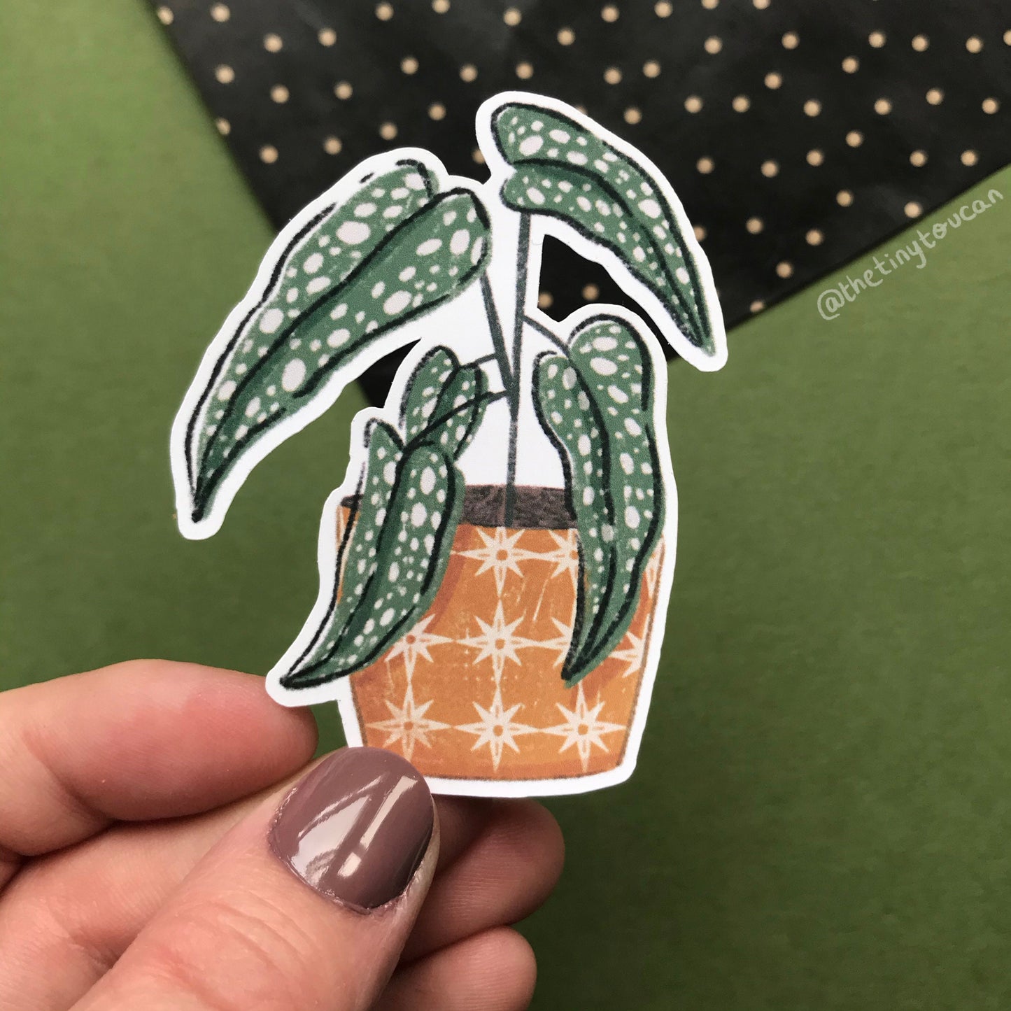 Hello Houseplants Sticker Pack! (5 houseplant stickers, tech stickers, laptop sticker, cute) Waterproof Vinyl Stickers