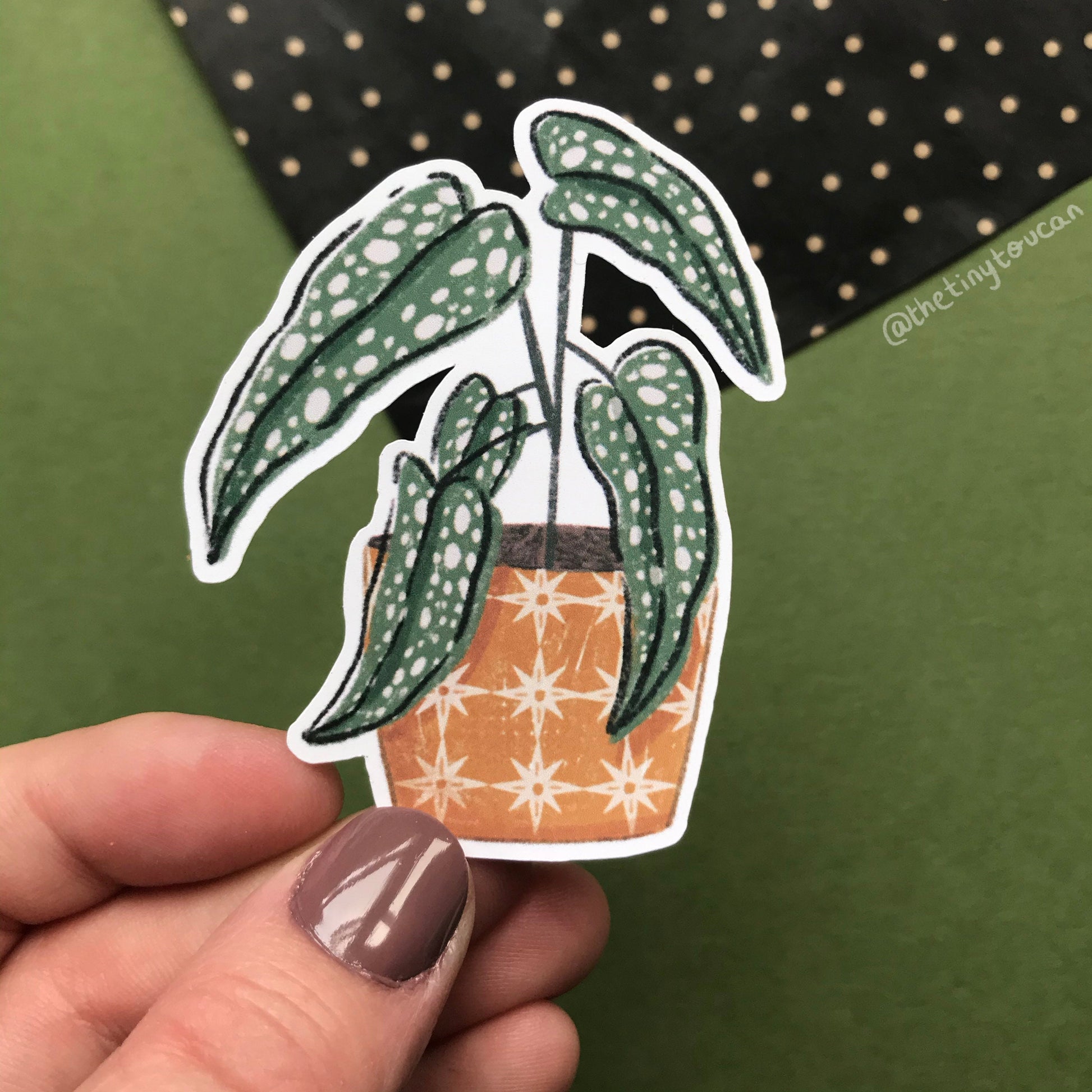 Hello Houseplants Sticker Pack!  (5 houseplant stickers, tech stickers, laptop sticker, cute) Waterproof Vinyl Stickers