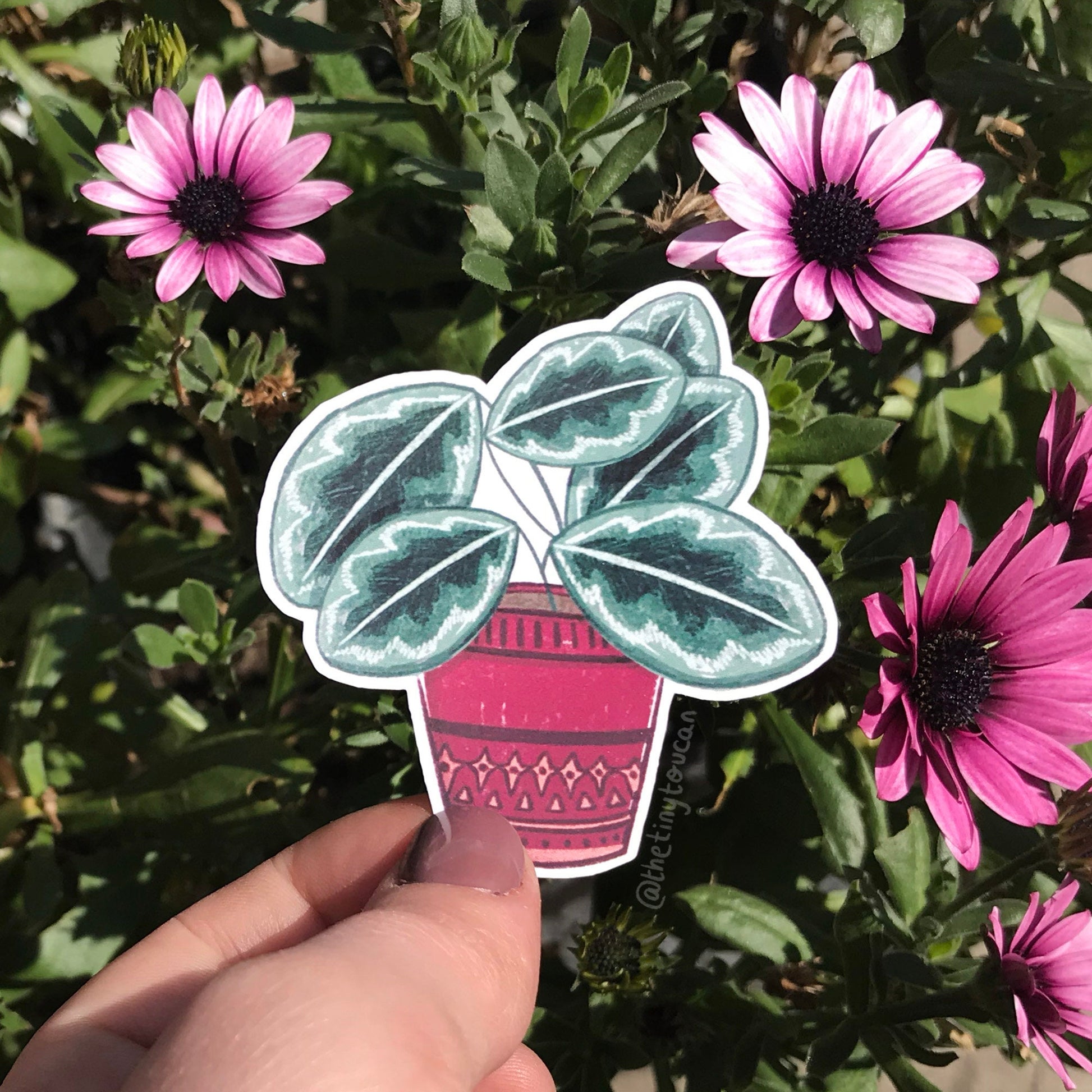 Hello Houseplants Sticker Pack!  (5 houseplant stickers, tech stickers, laptop sticker, cute) Waterproof Vinyl Stickers