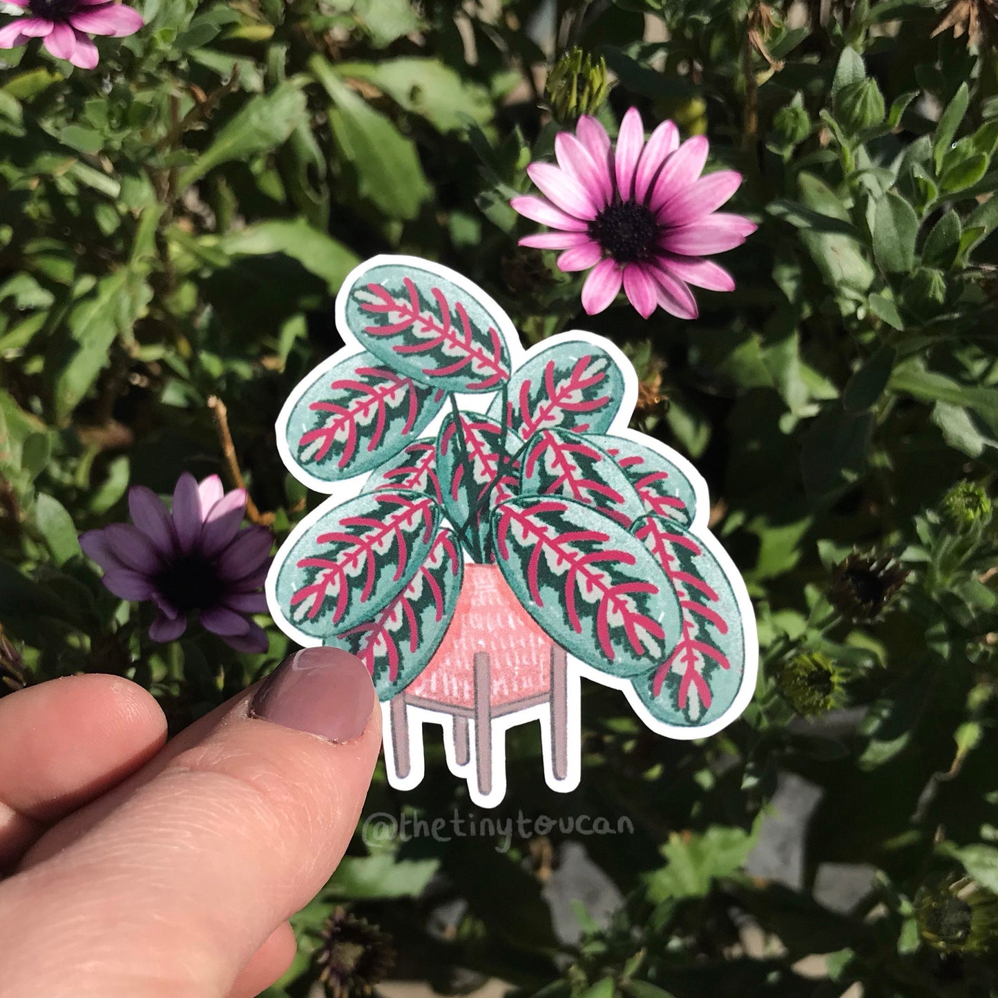 Hello Houseplants Sticker Pack! (5 houseplant stickers, tech stickers, laptop sticker, cute) Waterproof Vinyl Stickers