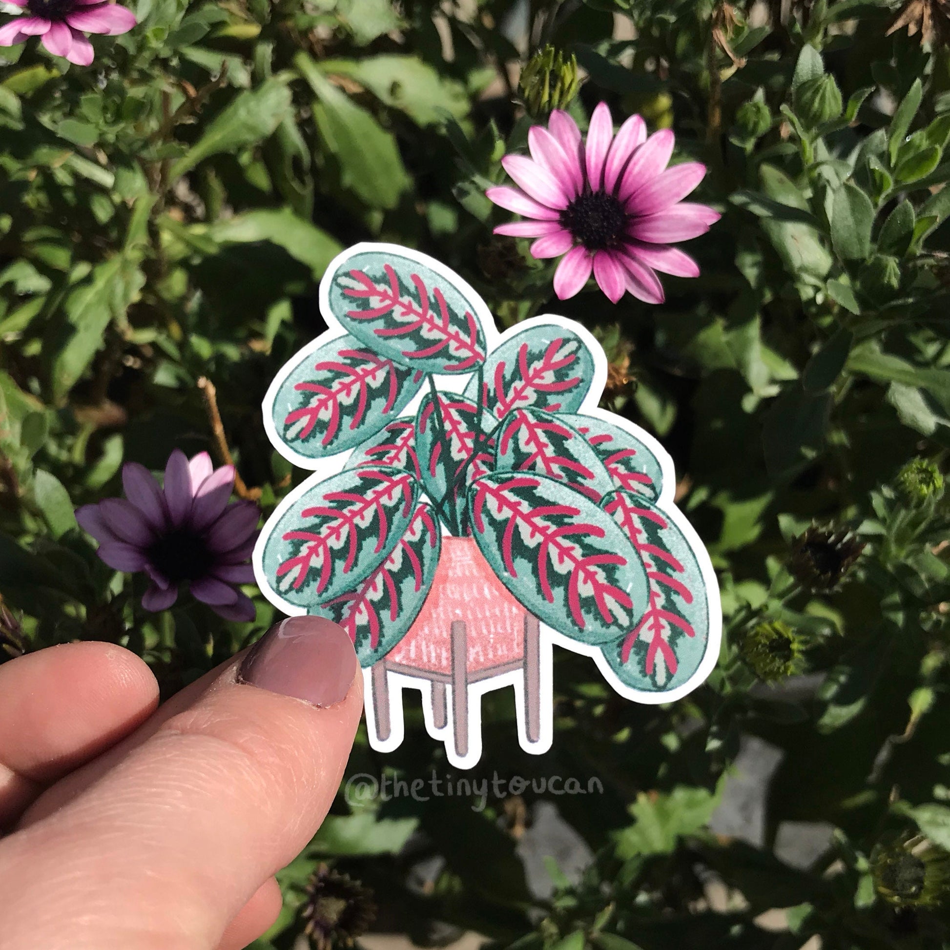 Hello Houseplants Sticker Pack!  (5 houseplant stickers, tech stickers, laptop sticker, cute) Waterproof Vinyl Stickers
