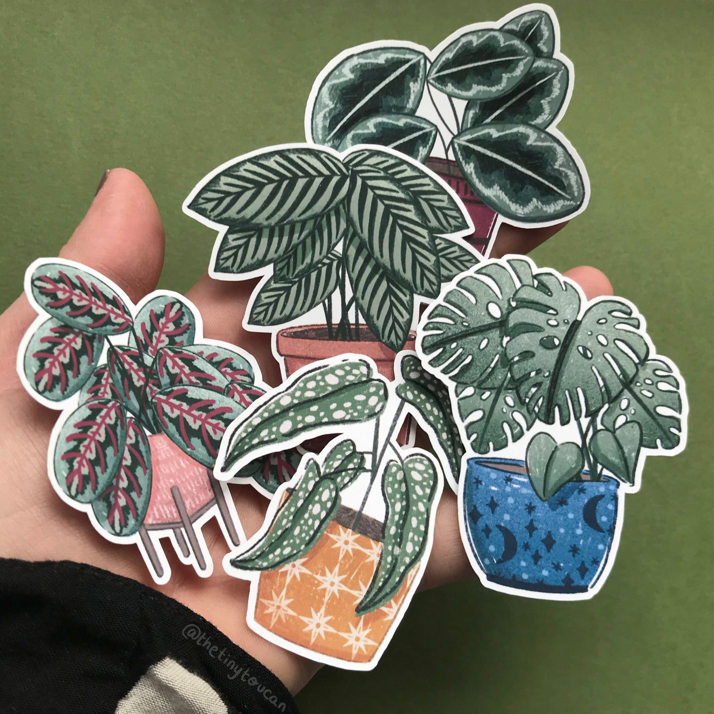 Hello Houseplants Sticker Pack! (5 houseplant stickers, tech stickers, laptop sticker, cute) Waterproof Vinyl Stickers