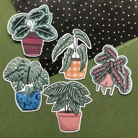 Hello Houseplants Sticker Pack!  (5 houseplant stickers, tech stickers, laptop sticker, cute) Waterproof Vinyl Stickers