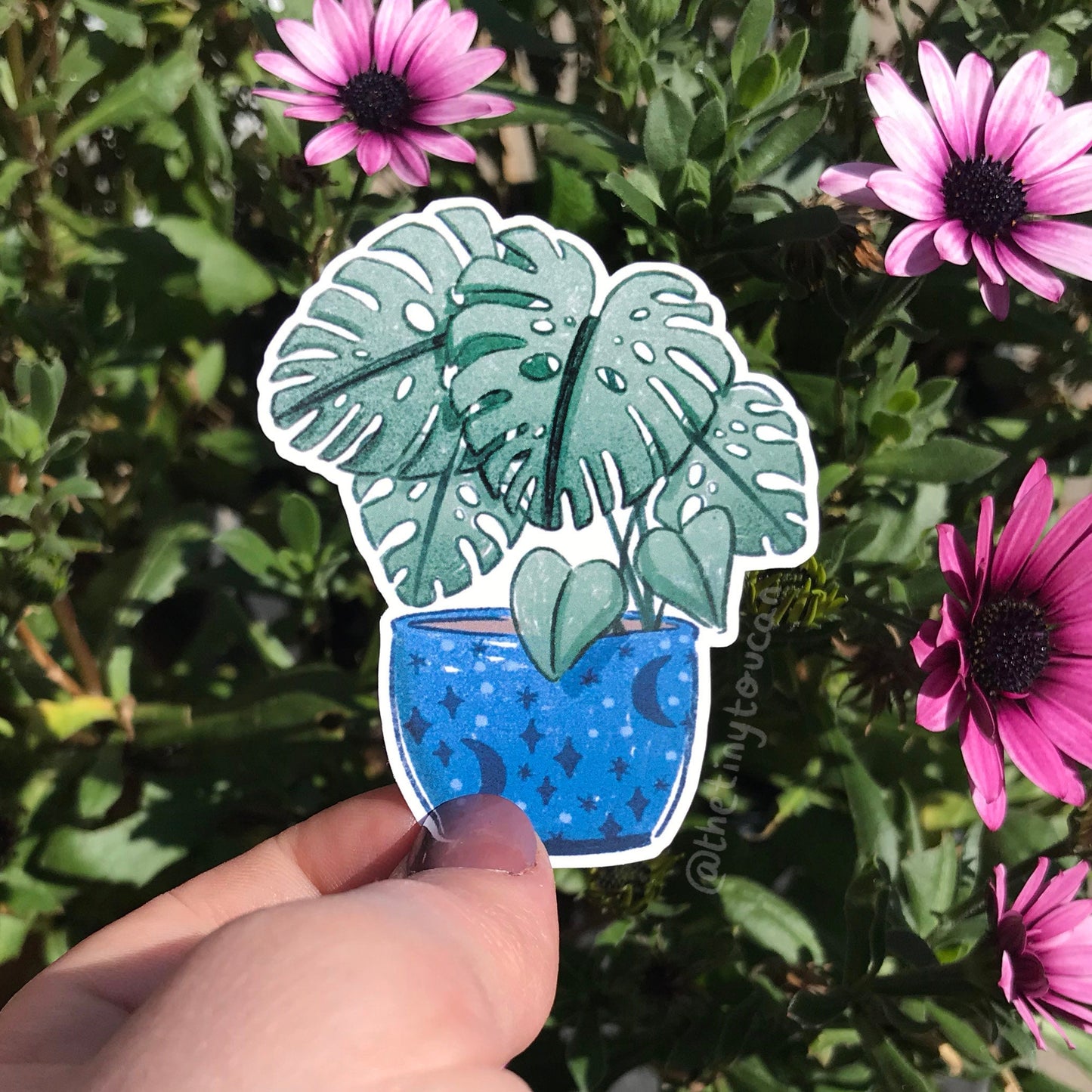 Hello Houseplants Sticker Pack! (5 houseplant stickers, tech stickers, laptop sticker, cute) Waterproof Vinyl Stickers