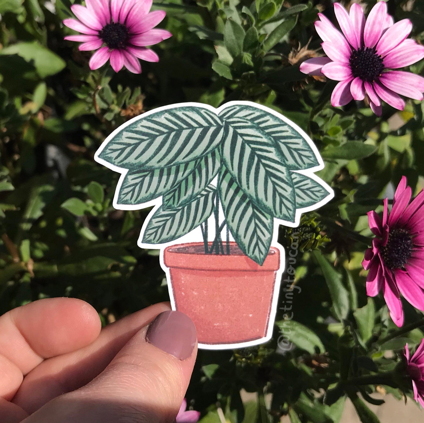 Hello Houseplants Sticker Pack! (5 houseplant stickers, tech stickers, laptop sticker, cute) Waterproof Vinyl Stickers