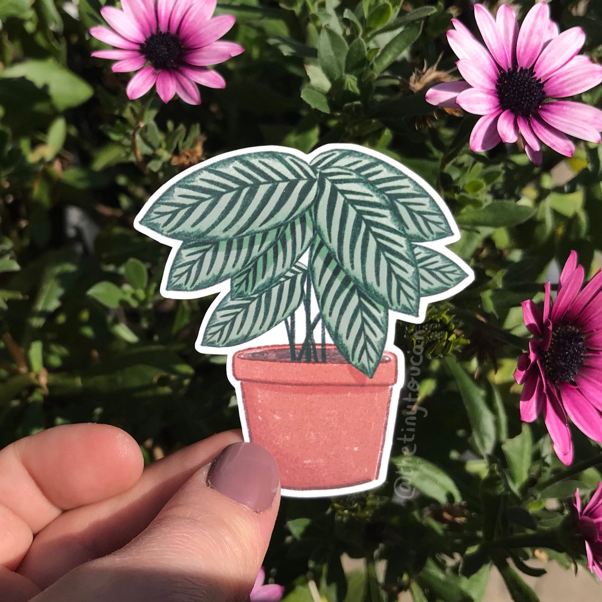 Hello Houseplants Sticker Pack!  (5 houseplant stickers, tech stickers, laptop sticker, cute) Waterproof Vinyl Stickers