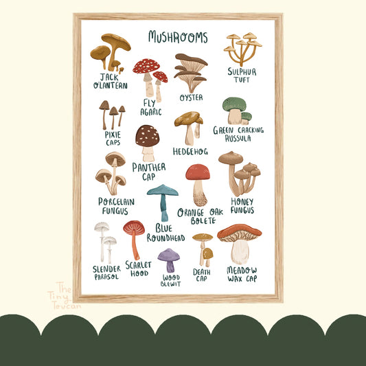 Mushroom Guide Art Print