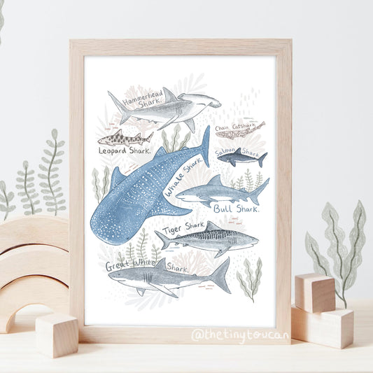 Sharks Fine Art Print