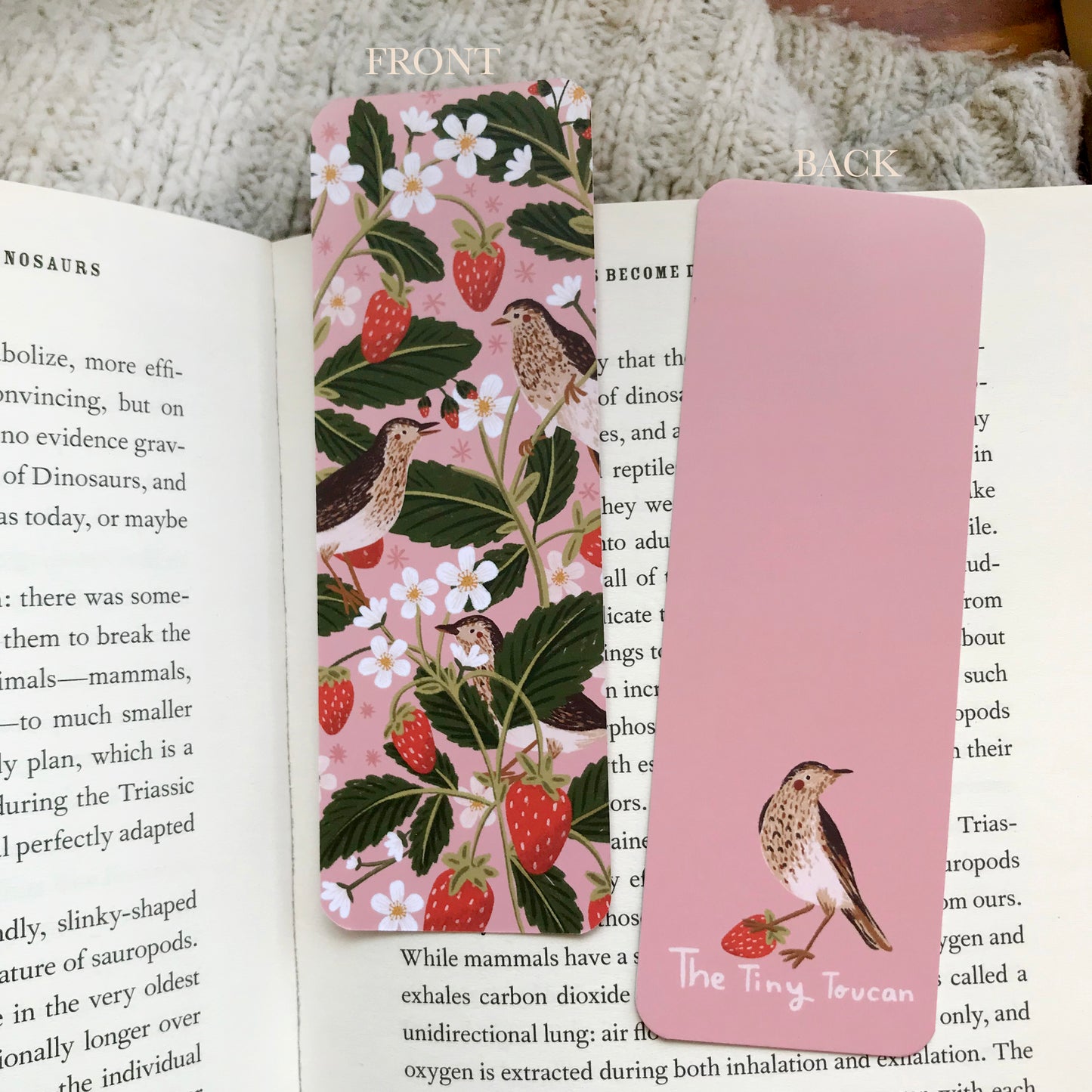 Strawberry Birds Bookmark