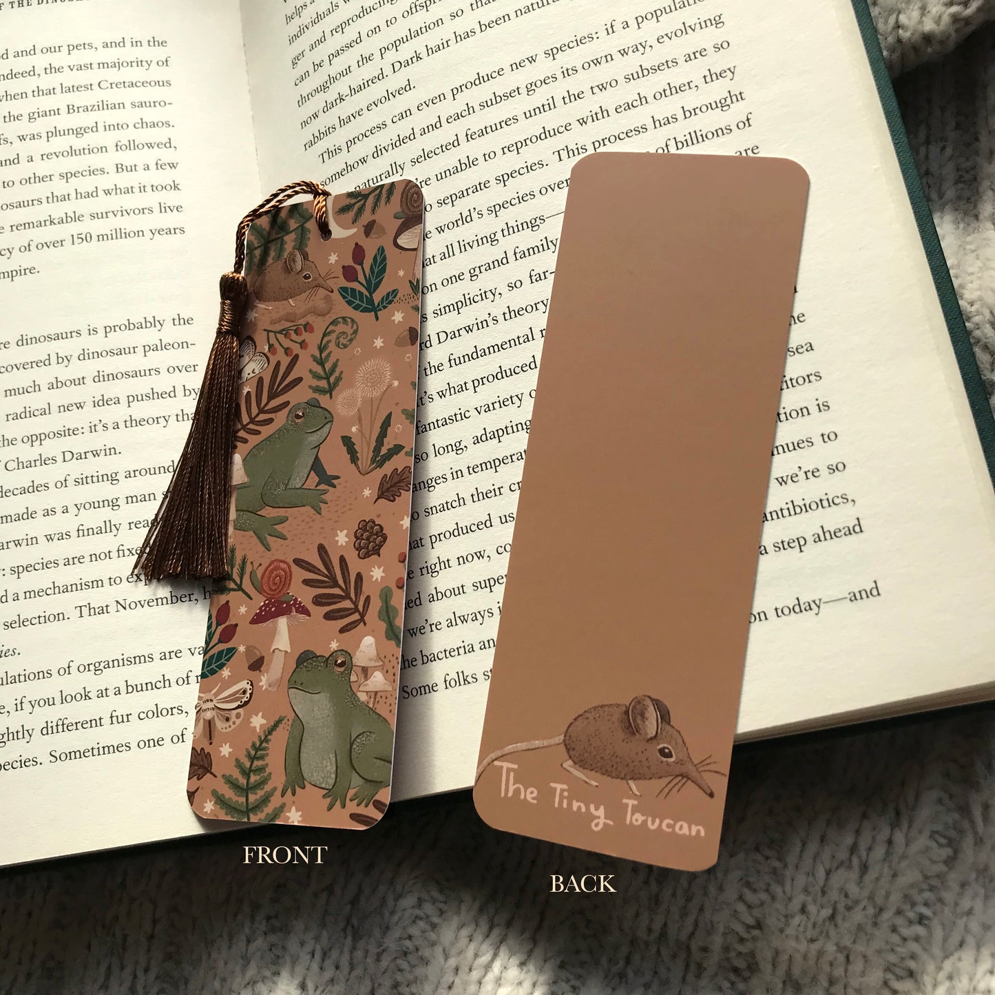 Frogs and Shrew Bookmark