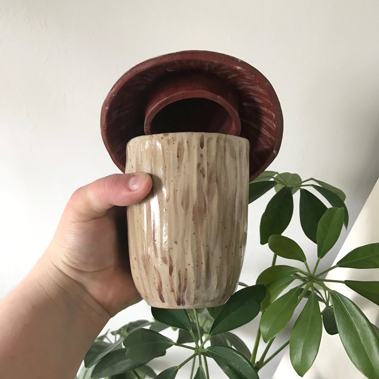 Mushroom Jar with lid