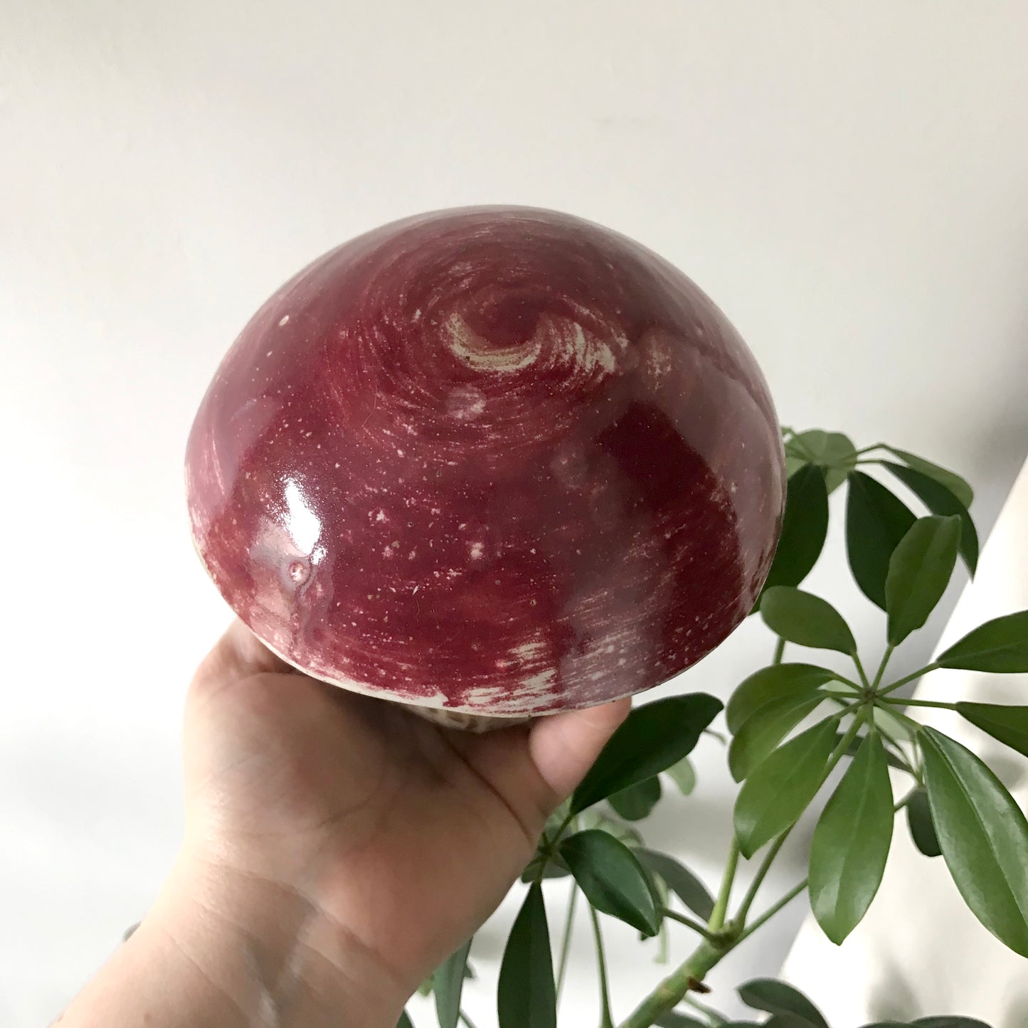 Mushroom Jar with lid