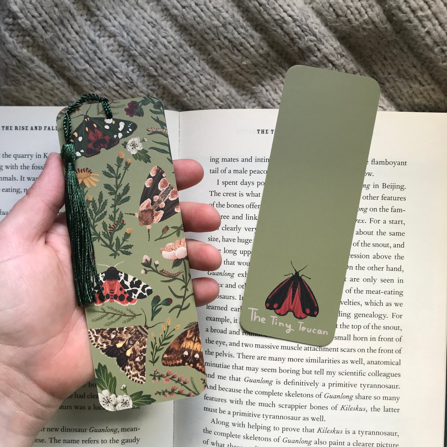 British Moths bookmark