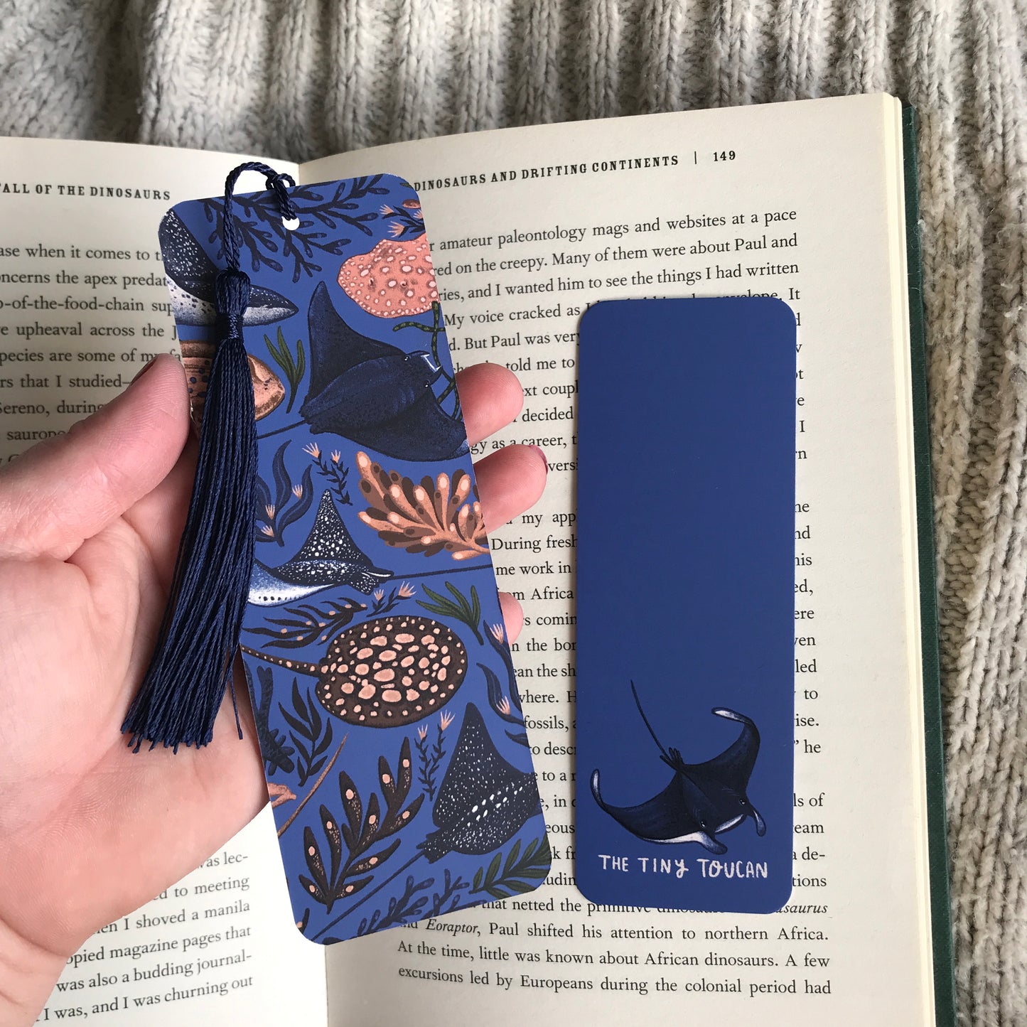 Rays Bookmark