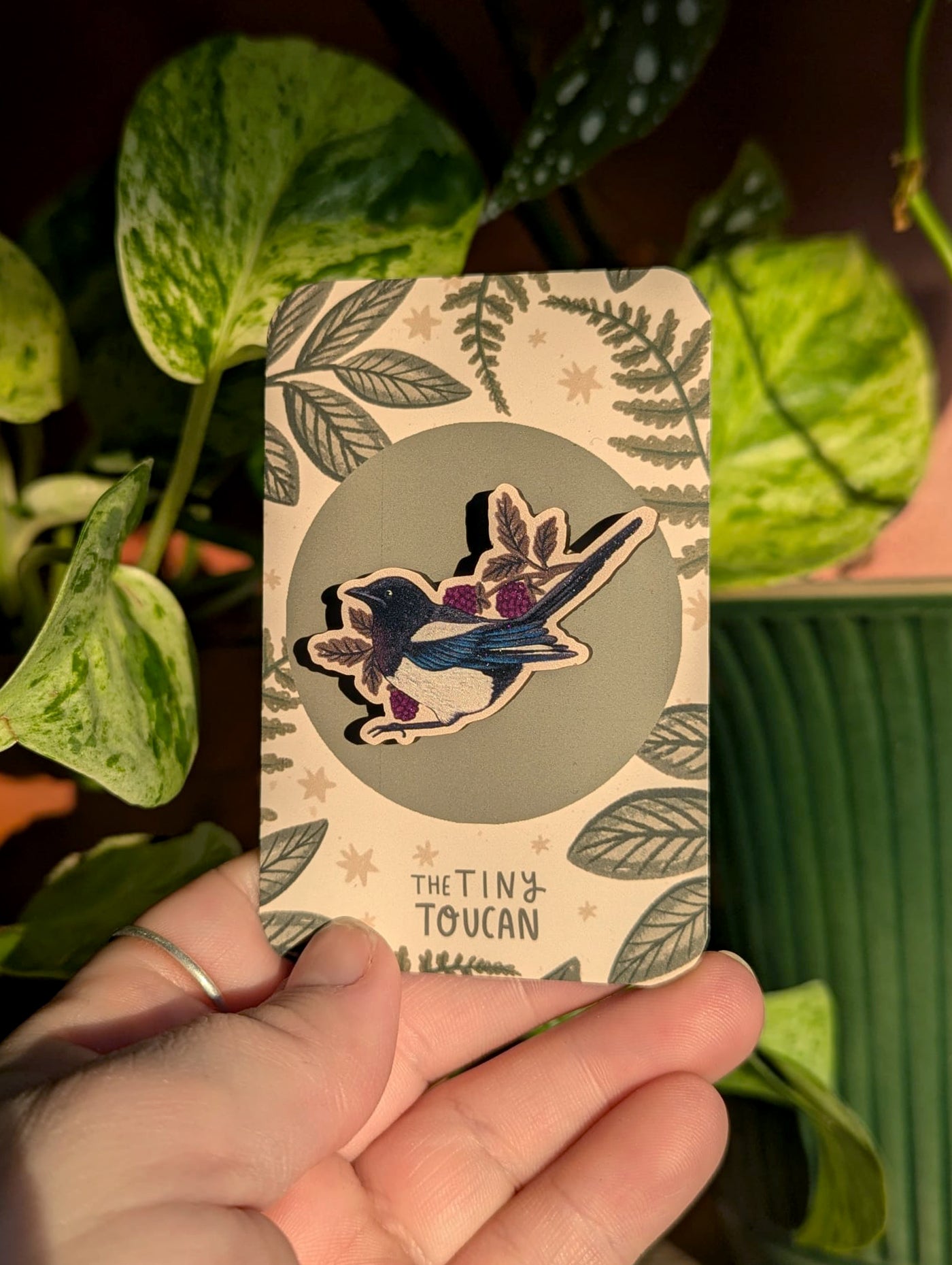 Magpies and Blackberries Gift Box