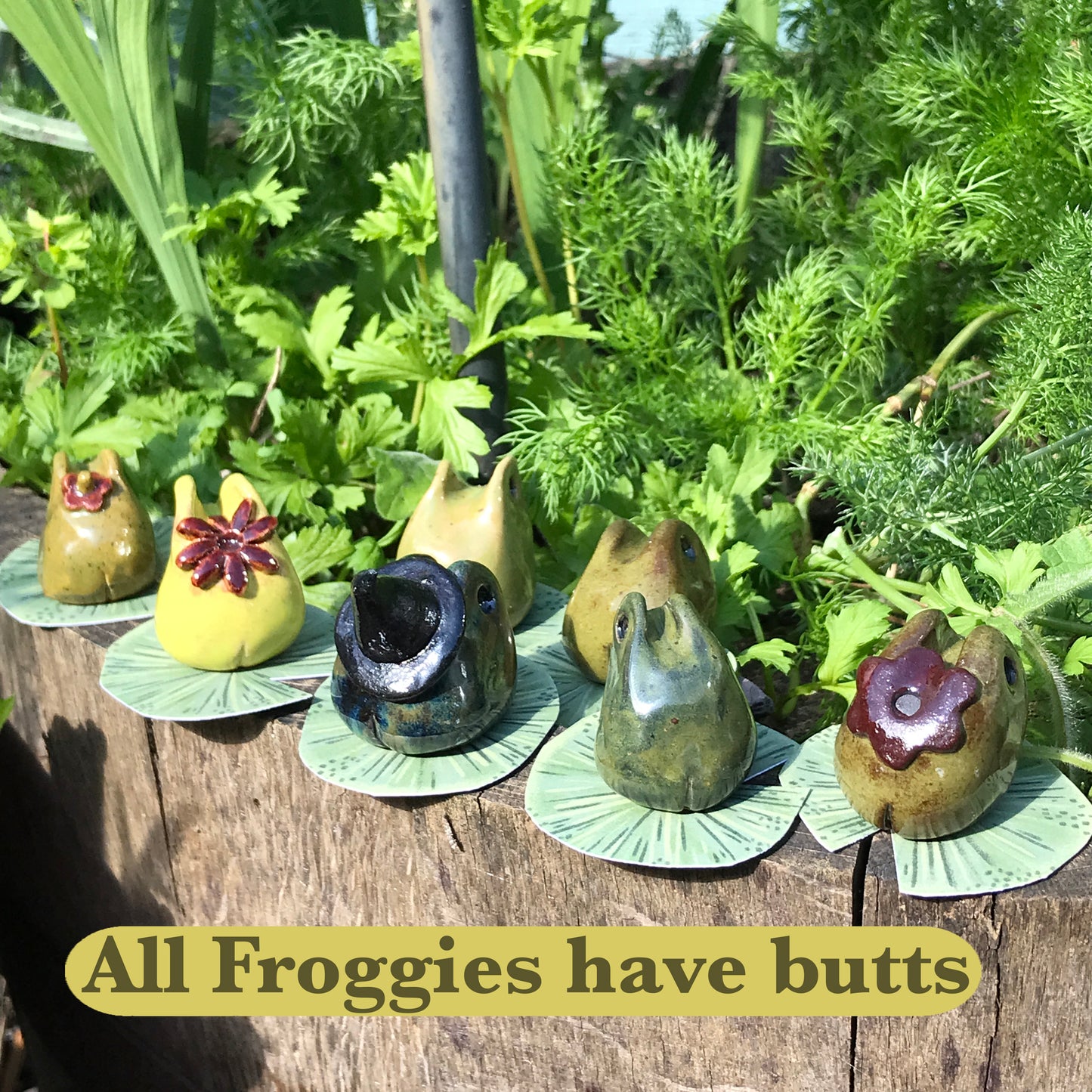 Grumpy Frogs