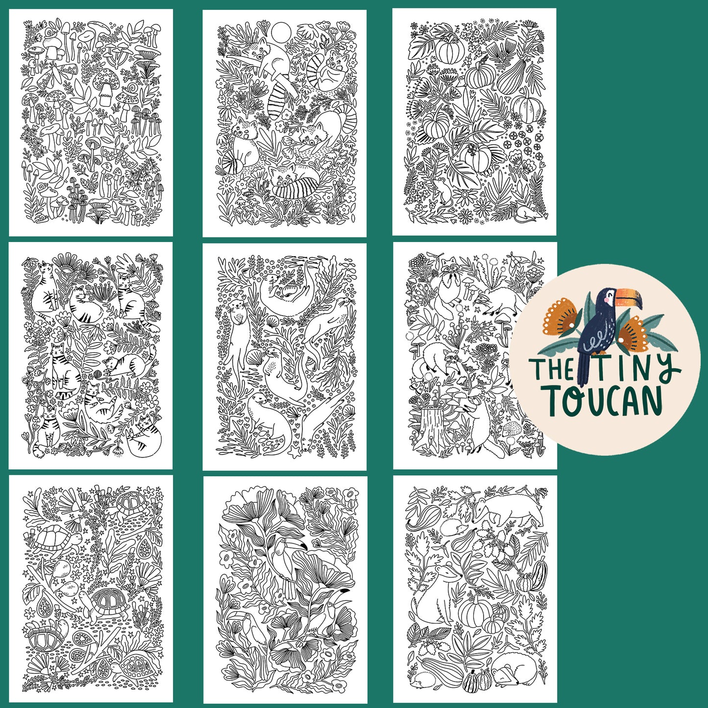 A4 Whimsical Creatures Colouring Book