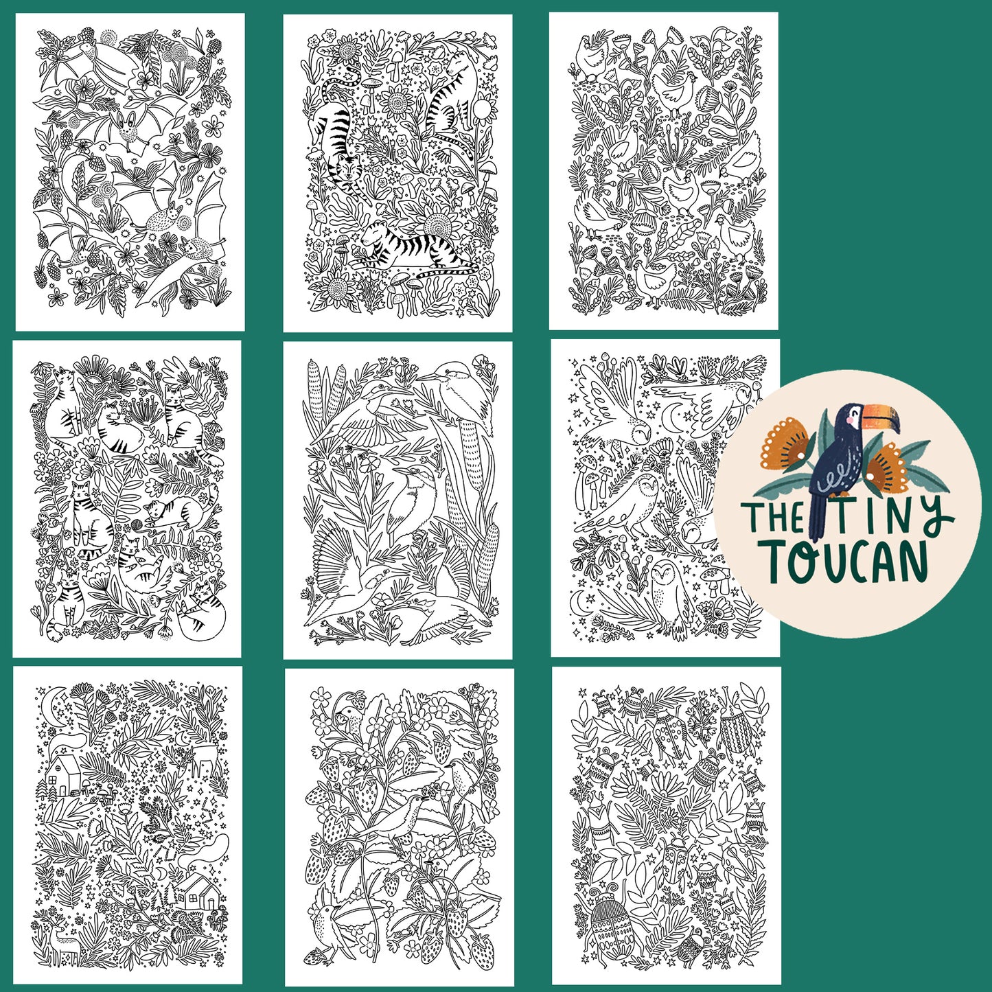 A4 Whimsical Creatures Colouring Book