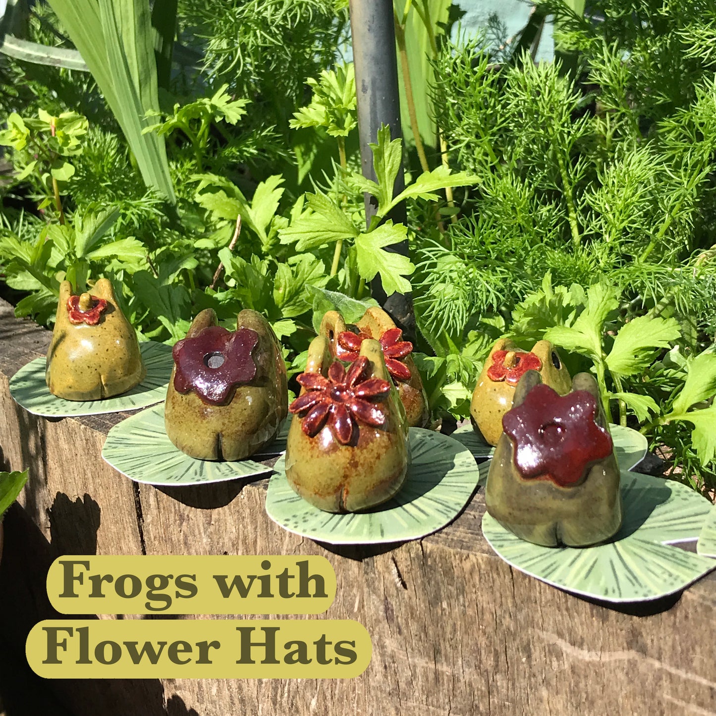 Grumpy Frogs
