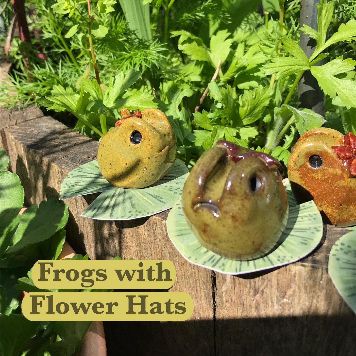 Grumpy Frogs
