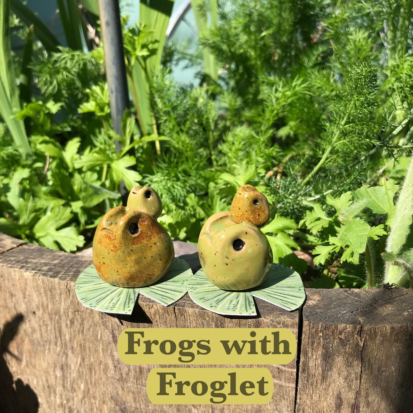 Grumpy Frogs