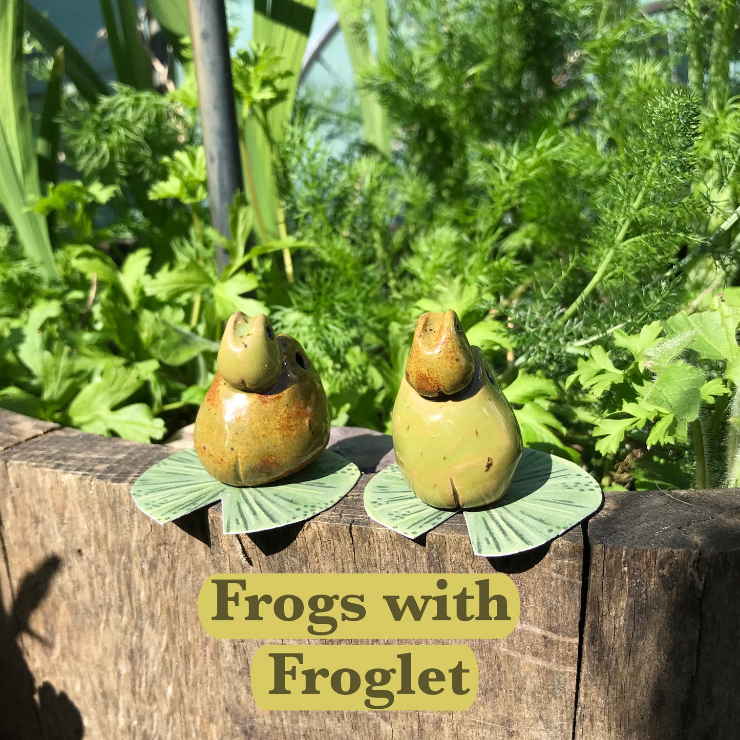 Grumpy Frogs