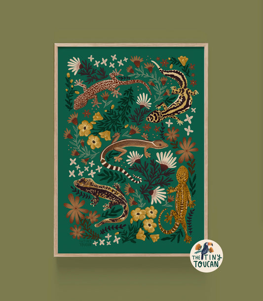 Gekko A4 Print