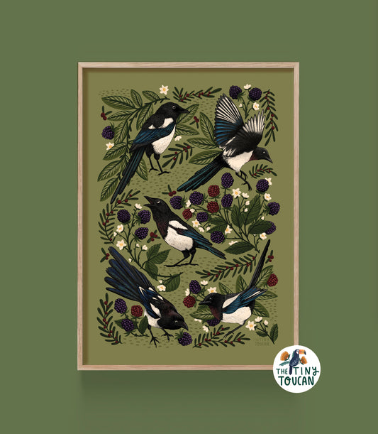 Magpie and Blackberry A3 Print