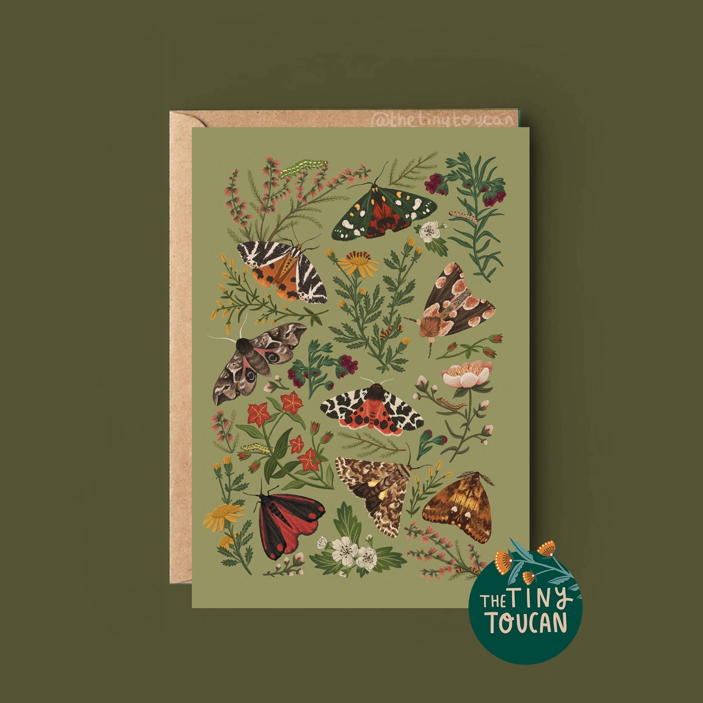 10 Pack Everyday Cards