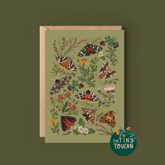 British Moths Everyday Card