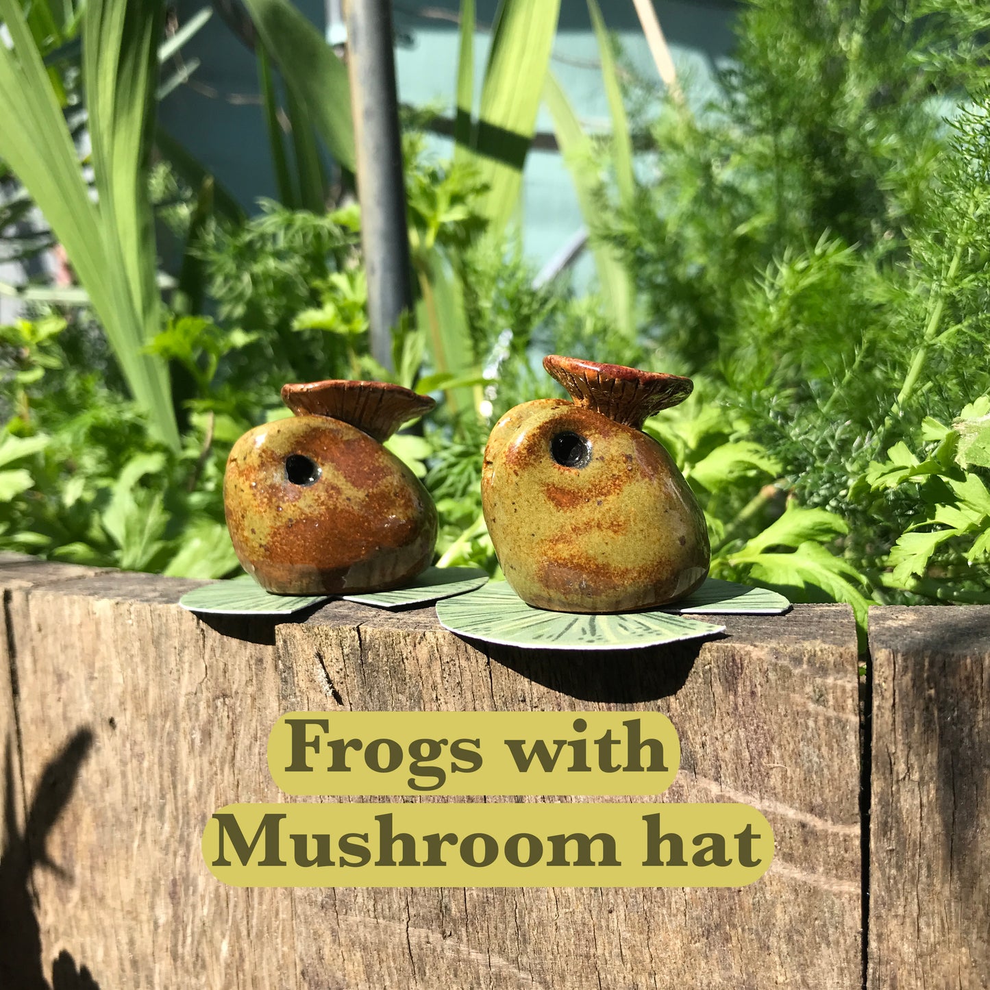 Grumpy Frogs