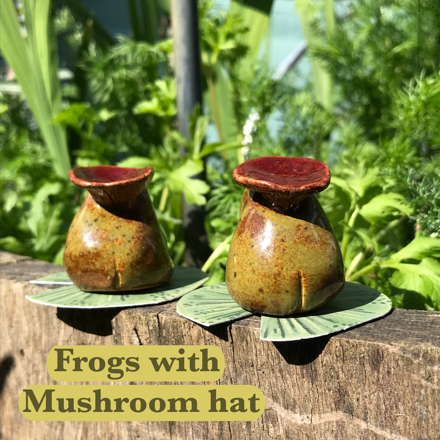 Grumpy Frogs
