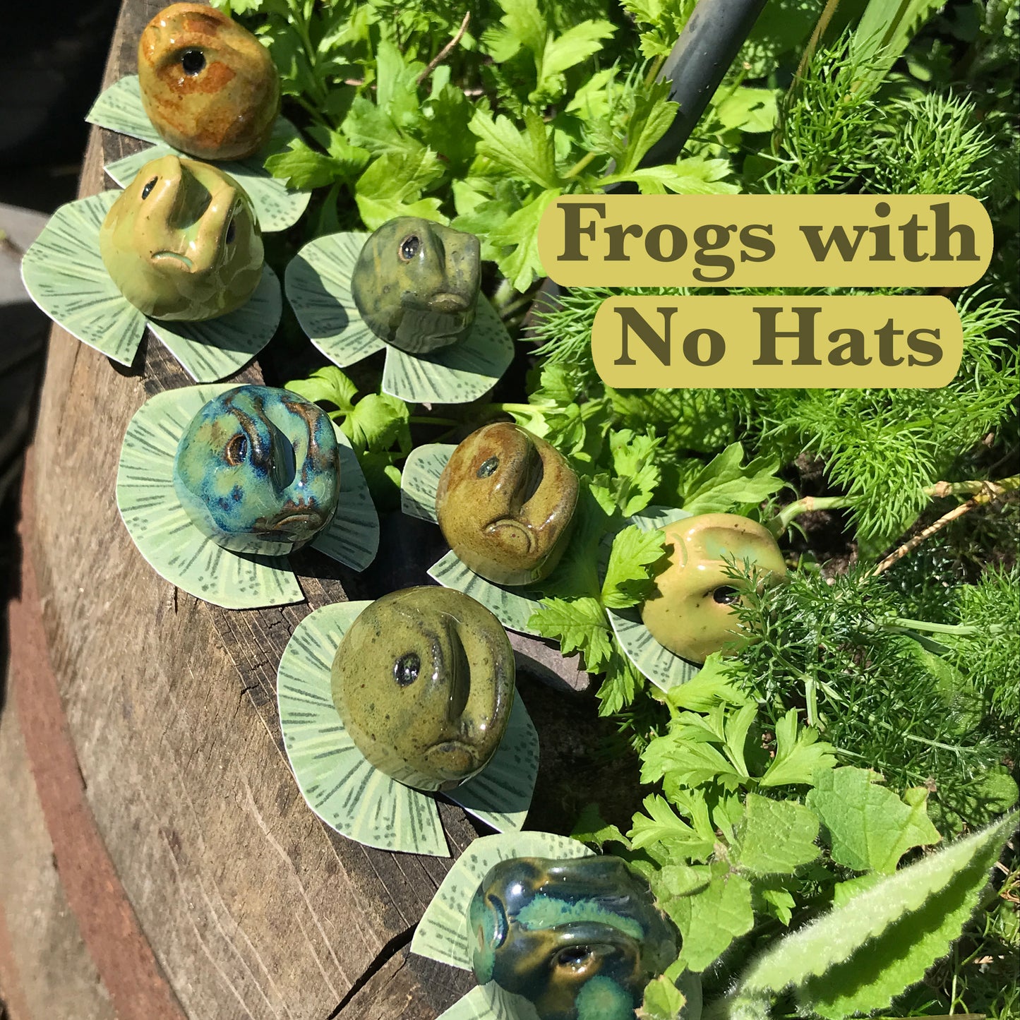 Grumpy Frogs